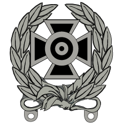 Army Expert Shooting Badge