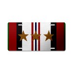 Afghanistan Campaign License Plate