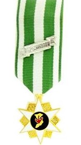 Vietnam Campaign Miniature Military Medal