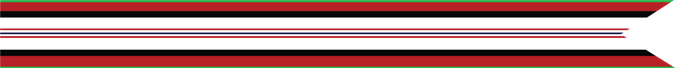 Afghanistan Campaign Campaign Streamer (1 silver star, 1 bronze star) 