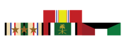 southwest asia service military ribbon racks