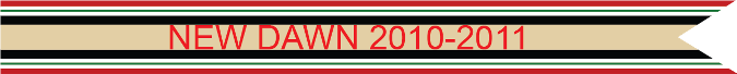 NEW DAWN 2010-2011 US AIR FORCE CAMPAIGN STREAMER