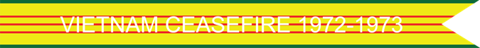 VIETNAM CEASEFIRE 1972-1973 US AIR FORCE CAMPAIGN STREAMER