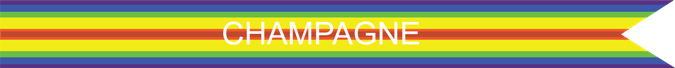 CHAMPAGNE US AIR FORCE CAMPAIGN STREAMER CHAMPAGNE US AIR FORCE CAMPAIGN STREAMER