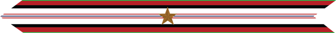United States Marine Corps Afghanistan Campaign Streamer with 1 bronze star 