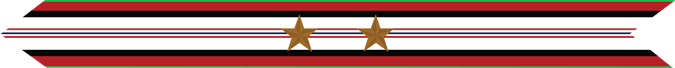 United States Marine Corps Afghanistan Campaign Streamer with 2 bronze stars 