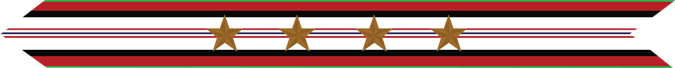United States Marine Corps Afghanistan Campaign Streamer with 4 bronze stars 