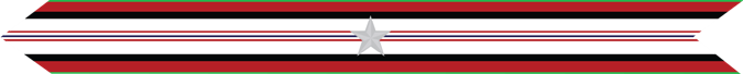 United States Marine Corps Afghanistan Campaign Streamer with 1 silver star