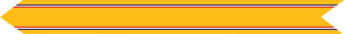 United States Marine Corps American Defense Service Campaign Streamer 