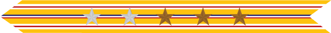 United States Marine Corps Asiatic-Pacific Campaign Streamer with 2 silver stars & 3 bronze stars