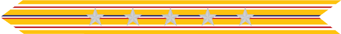 United States Marine Corps Asiatic-Pacific Campaign Streamer with 5 silver stars 