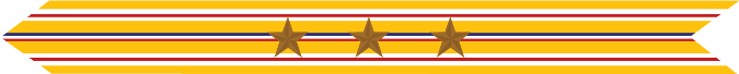 United States Marine Corps Asiatic-Pacific Campaign Streamer with 3 bronze stars