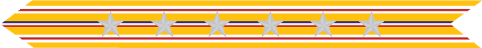 United States Marine Corps Asiatic-Pacific Campaign Streamer with 6 silver stars 