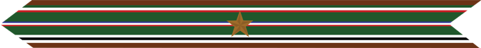 United States Marine Corps European-African-Middle Eastern Campaign Streamer with 1 bronze star