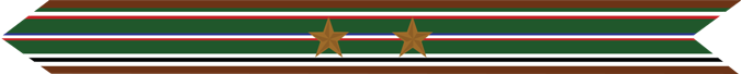 United States Marine Corps European-African-Middle Eastern Campaign Streamer with 2 bronze stars
