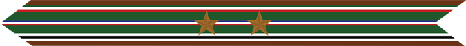 United States Marine Corps European-African-Middle Eastern Campaign Streamer with 2 bronze stars United States Marine Corps European-African-Middle Eastern Campaign Streamer with 2 bronze stars