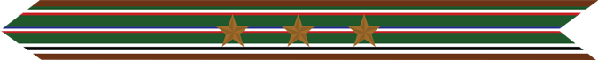 United States Marine Corps European-African-Middle Eastern Campaign Streamer with 3 bronze stars