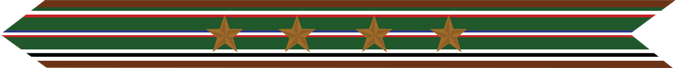 United States Marine Corps European-African-Middle Eastern Campaign Streamer with 4 bronze stars