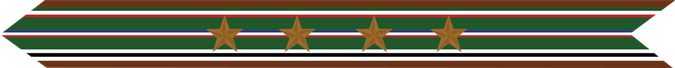 United States Marine Corps European-African-Middle Eastern Campaign Streamer with 4 bronze stars United States Marine Corps European-African-Middle Eastern Campaign Streamer with 4 bronze stars
