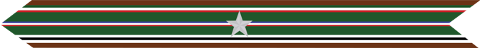 United States Marine Corps European-African-Middle Eastern Campaign Streamer with 1 silver star