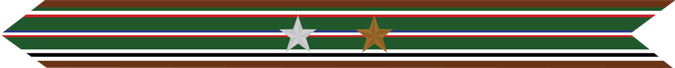 United States Marine Corps European-African-Middle Eastern Campaign Streamer with 1 silver star & 1 bronze star