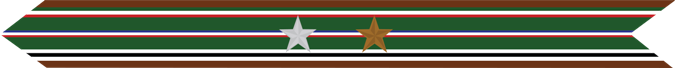 United States Marine Corps European-African-Middle Eastern Campaign Streamer with 1 silver star & 1 bronze star United States Marine Corps European-African-Middle Eastern Campaign Streamer with 1 silver star & 1 bronze star