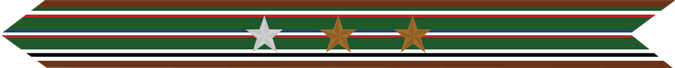 United States Marine Corps European-African-Middle Eastern Campaign Streamer with 1 silver star & 2 bronze stars