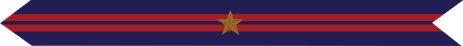 United States Marine Corps Haitian Campaign Streamer with 1 bronze star 