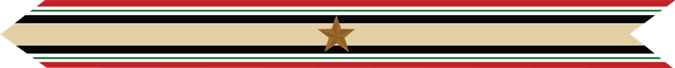 United States Marine Corps Iraq Campaign Streamer with 1 bronze star