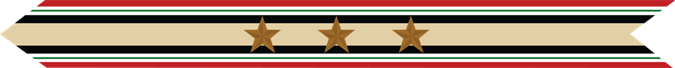 United States Marine Corps Iraq Campaign Streamer with 3 bronze stars