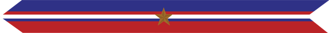 United States Marine Corps Kosovo Campaign Streamer with 1 bronze star