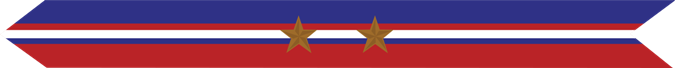 United States Marine Corps Kosovo Campaign Streamer with 2 bronze stars