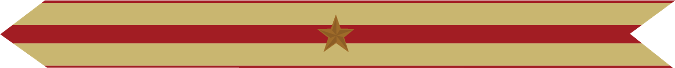 United States Marine Corps Expeditionary Campaign Streamer with 1 bronze star