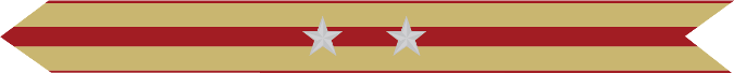 United States Marine Corps Expeditionary Campaign Streamer with 2 silver stars