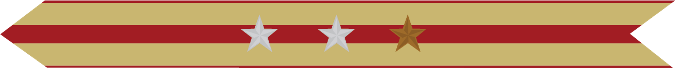 United States Marine Corps Expeditionary Campaign Streamer with 2 silver stars & 1 bronze star