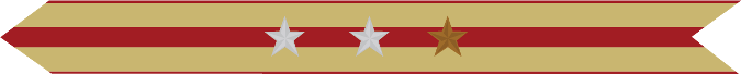 United States Marine Corps Expeditionary Campaign Streamer with 2 silver stars & 1 bronze star United States Marine Corps Expeditionary Campaign Streamer with 2 silver stars & 1 bronze star