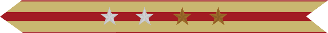 United States Marine Corps Expeditionary Campaign Streamer with 2 silver stars & 2 bronze stars