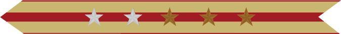 United States Marine Corps Expeditionary Campaign Streamer with 2 silver stars & 3 bronze stars