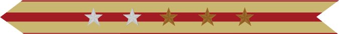 United States Marine Corps Expeditionary Campaign Streamer with 2 silver stars & 3 bronze stars United States Marine Corps Expeditionary Campaign Streamer with 2 silver stars & 3 bronze stars