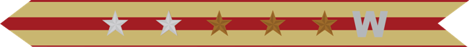 United States Marine Corps Expeditionary Campaign Streamer with 2 silver stars & 3 bronze stars & silver W