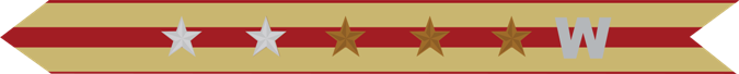 United States Marine Corps Expeditionary Campaign Streamer with 2 silver stars & 3 bronze stars & silver W United States Marine Corps Expeditionary Campaign Streamer with 2 silver stars & 3 bronze stars & silver W