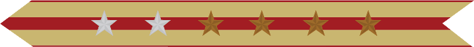 United States Marine Corps Expeditionary Campaign Streamer with 2 silver stars & 4 bronze stars