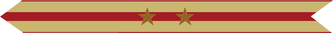 United States Marine Corps Expeditionary Campaign Streamer with 2 bronze stars