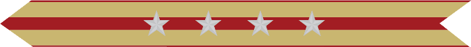 United States Marine Corps Expeditionary Campaign Streamer with 4 silver stars