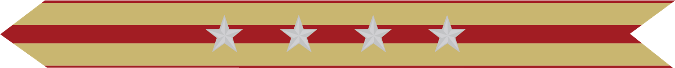 United States Marine Corps Expeditionary Campaign Streamer with 4 silver stars United States Marine Corps Expeditionary Campaign Streamer with 4 silver stars