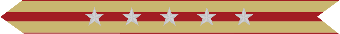 United States Marine Corps Expeditionary Campaign Streamer with 5 silver stars 