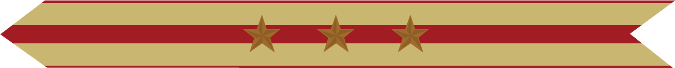 United States Marine Corps Expeditionary Campaign Streamer with 3 bronze stars