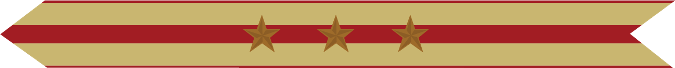 United States Marine Corps Expeditionary Campaign Streamer with 3 bronze stars United States Marine Corps Expeditionary Campaign Streamer with 3 bronze stars