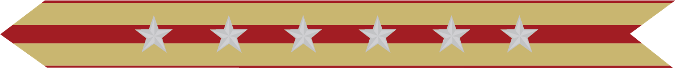 United States Marine Corps Expeditionary Campaign Streamer with 6 silver stars 