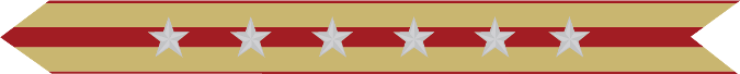 United States Marine Corps Expeditionary Campaign Streamer with 6 silver stars United States Marine Corps Expeditionary Campaign Streamer with 6 silver stars
